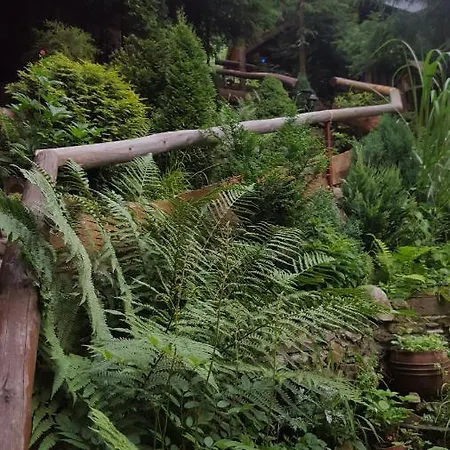 Mroz Zakopane
